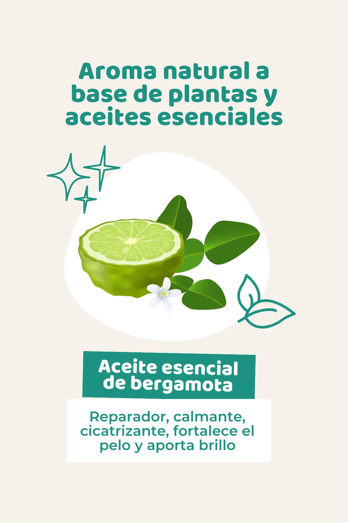 Champú ecológico - Image 4