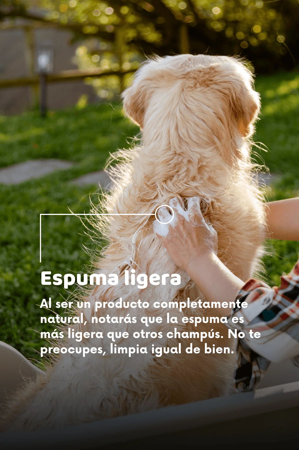 Champú ecológico - Image 7