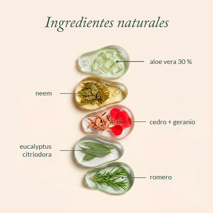 Champú repelente - Image 4