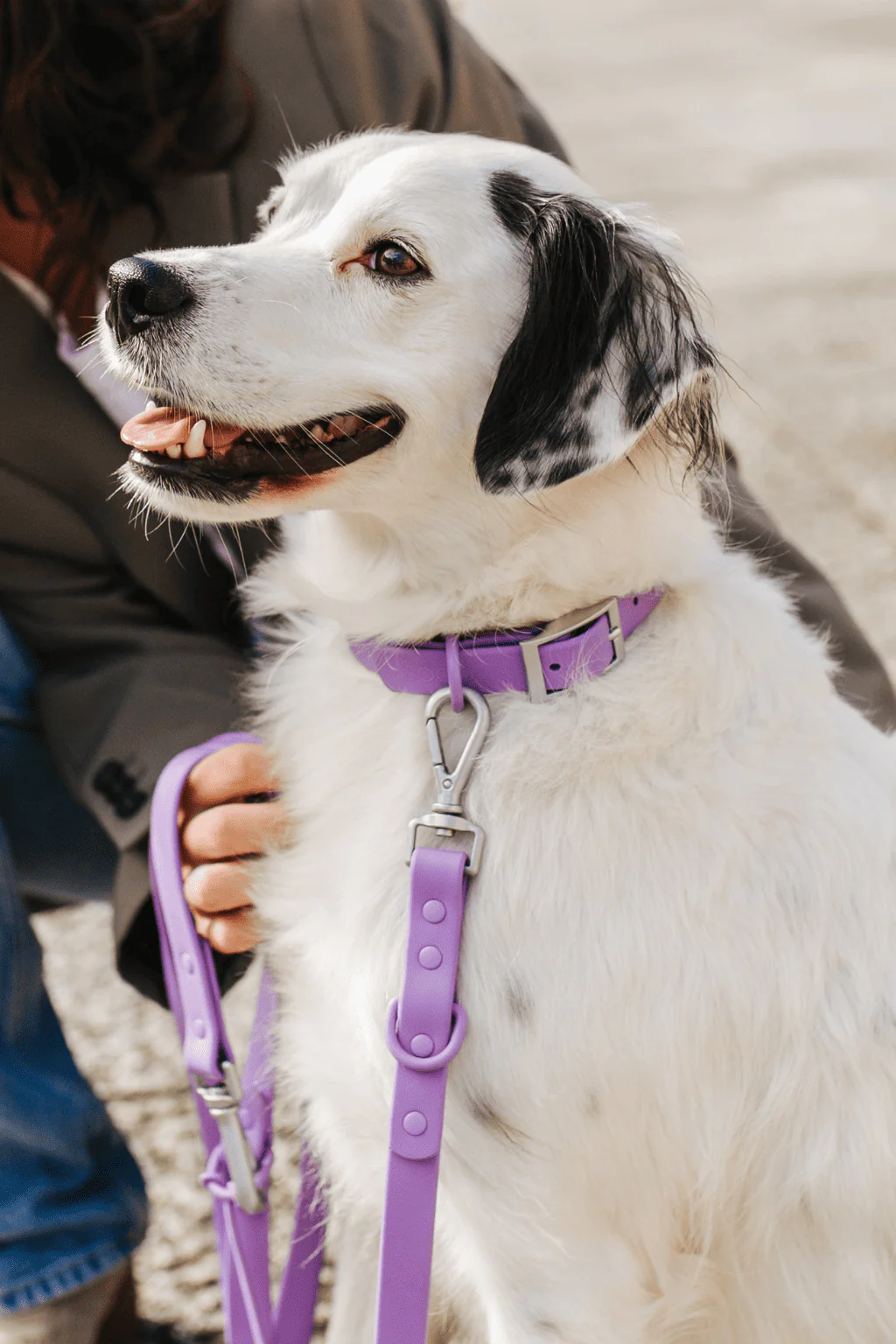 Collar Waterproof - Image 8