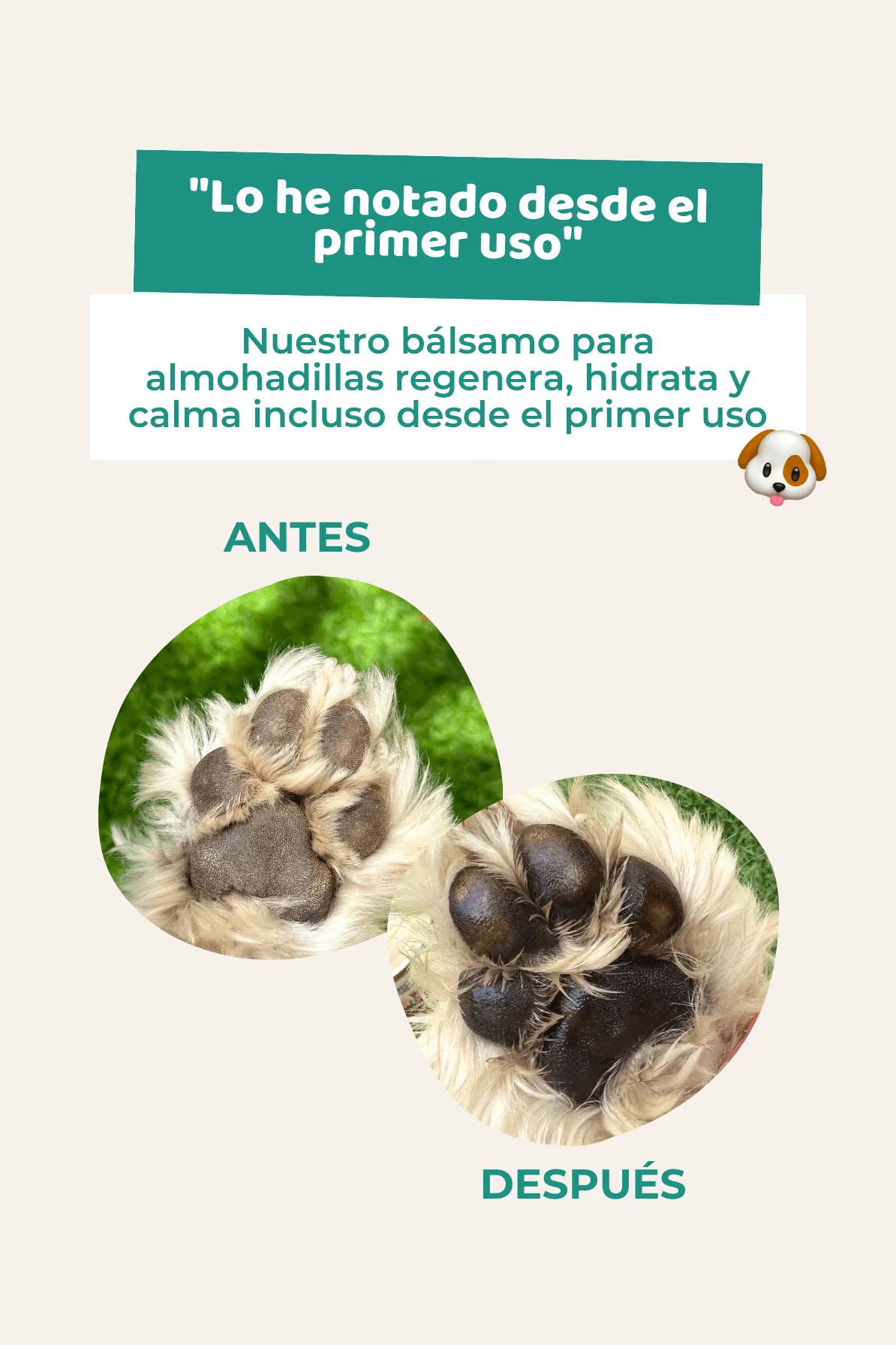 Bálsamo almohadillas, trufa y codos - Image 3