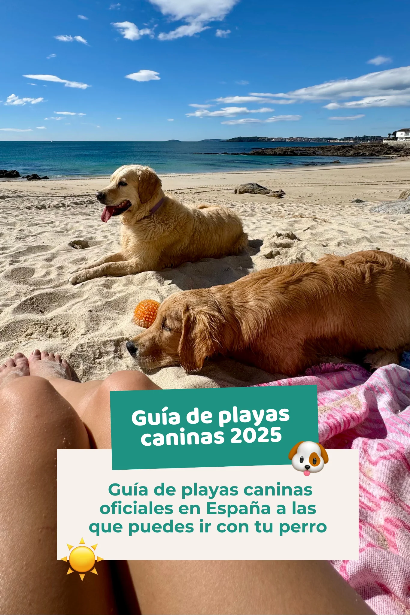 Ebook: Guía de playas caninas 2025 - Image 2
