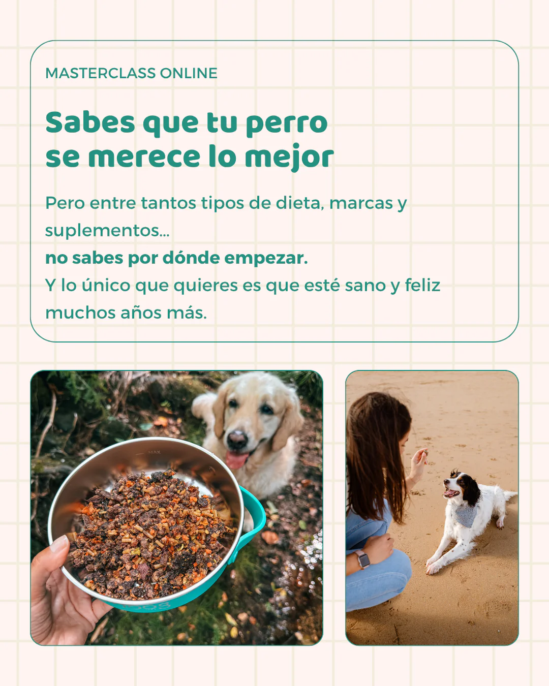 Masterclass grabada | Alimentos y suplementos funcionales para perros - Image 2