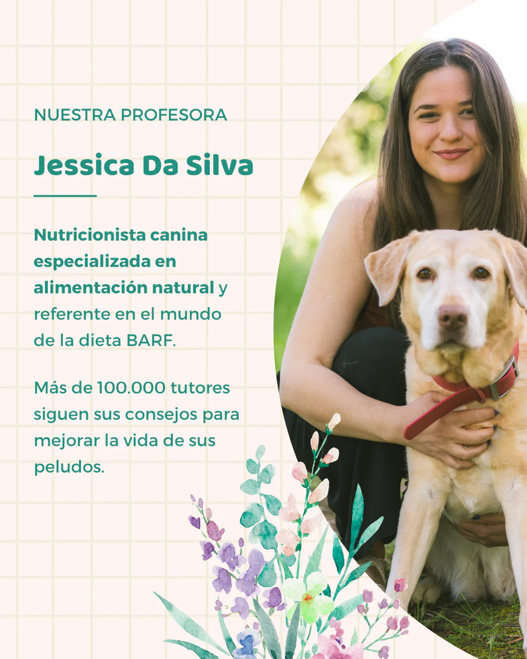 Masterclass grabada | Alimentos y suplementos funcionales para perros - Image 4