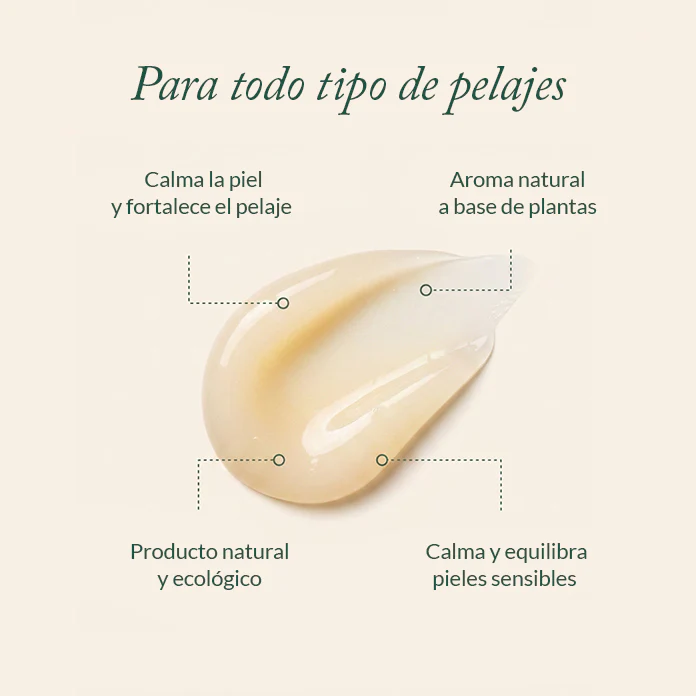 Mini talla champú - Image 2